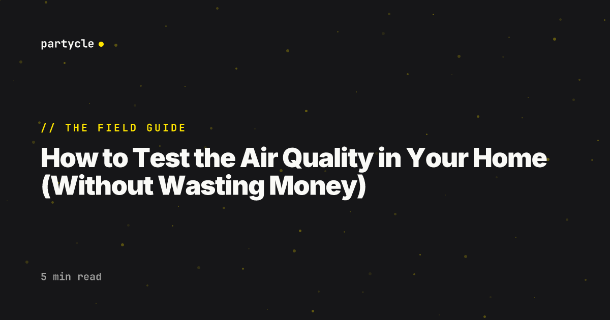 How to Test the Air Quality in Your Home (Without Wasting Money)